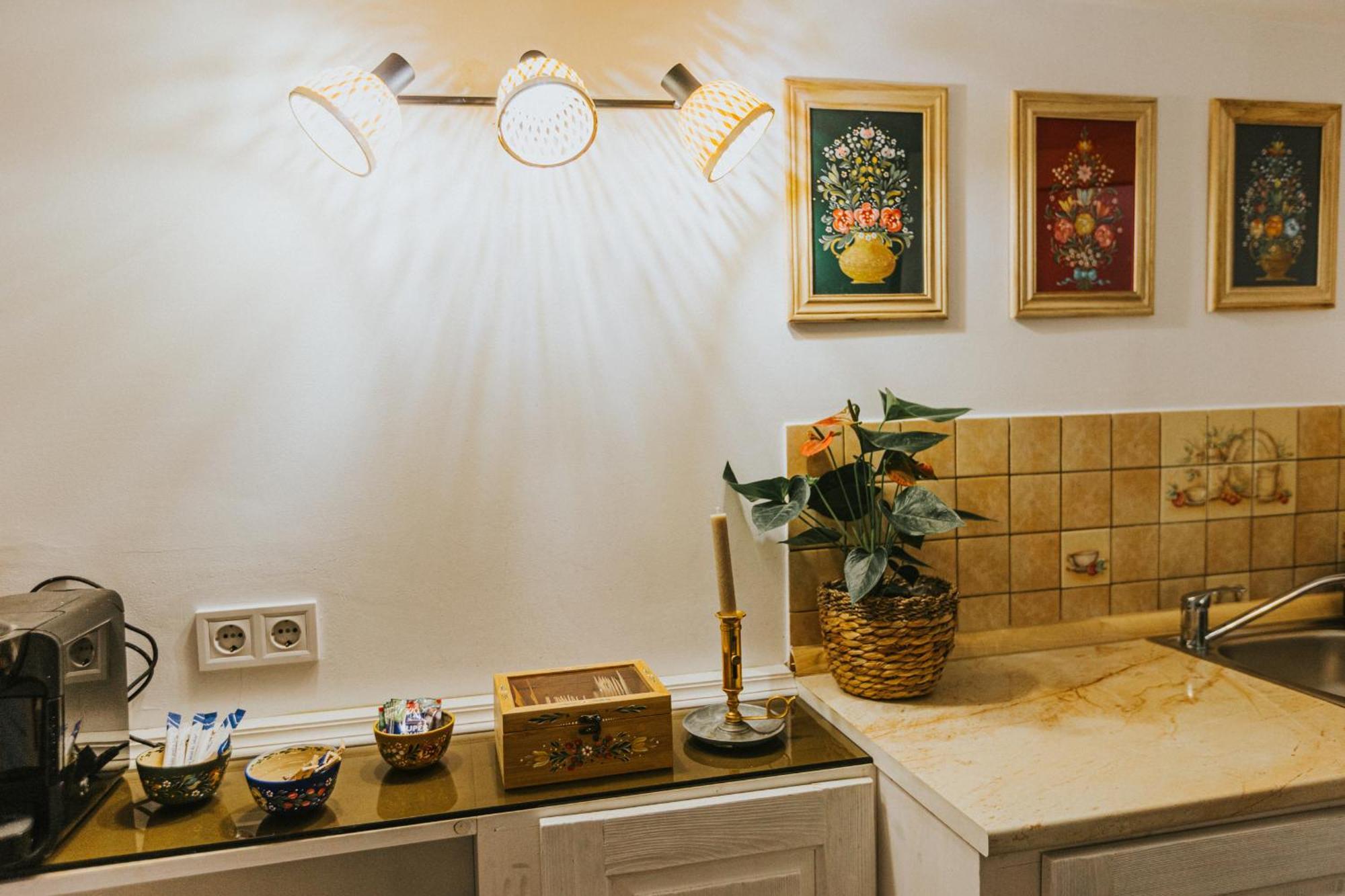 Republicii Rustic Apartament In Brasov City Center Экстерьер фото
